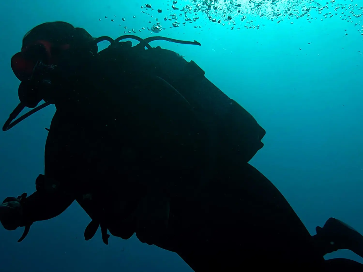 A diver descending over a reef