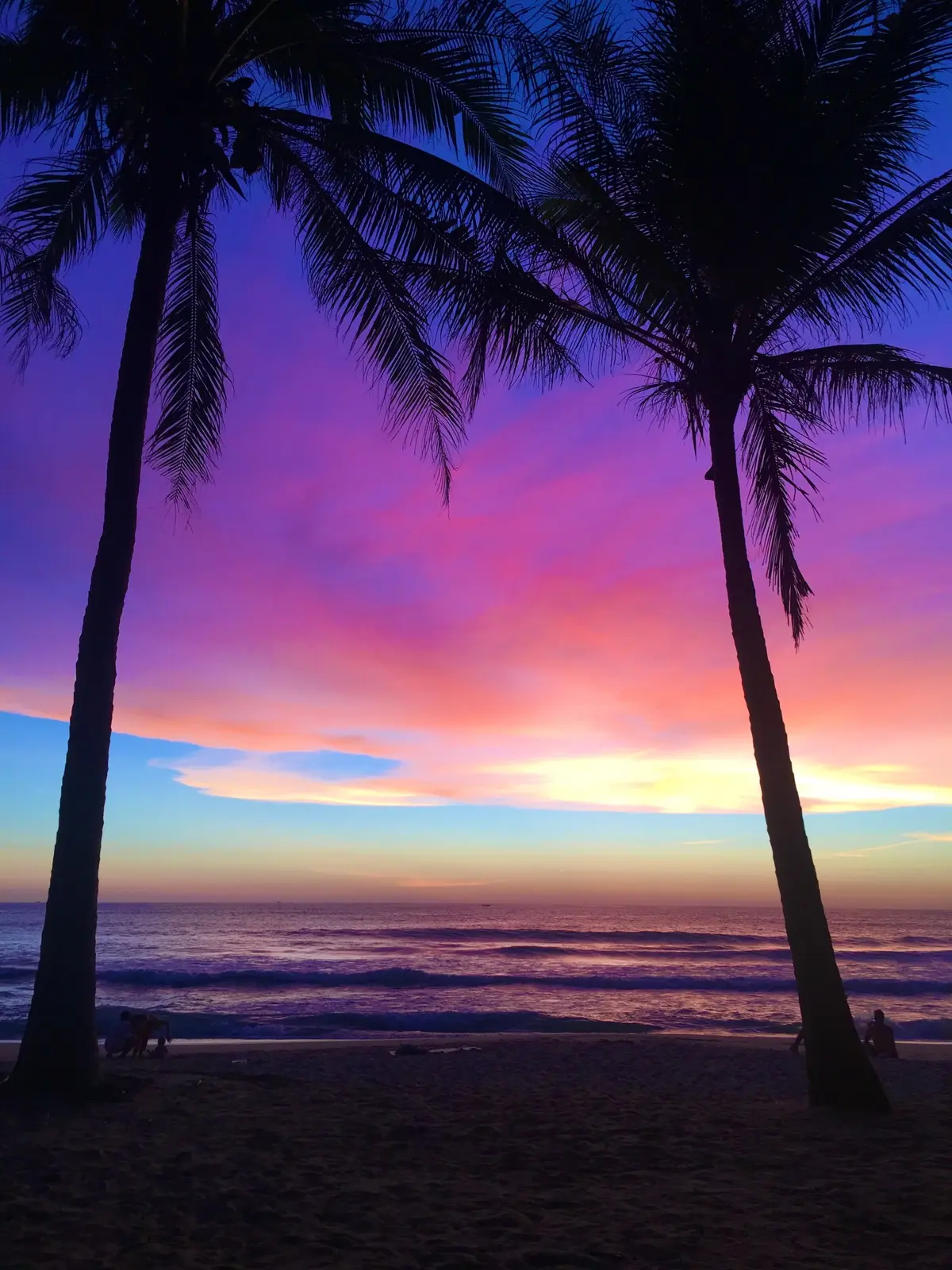 Palm trees in silhouette against a pink and purple sunset