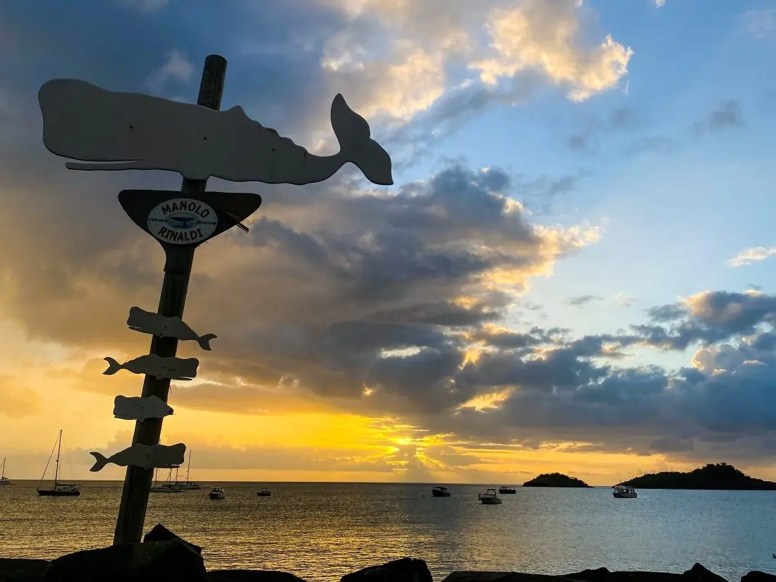 A signpost at sunset over the sea